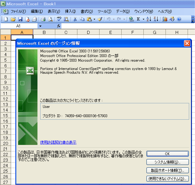 Office2003_6画像